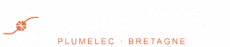 logo cdv orange
